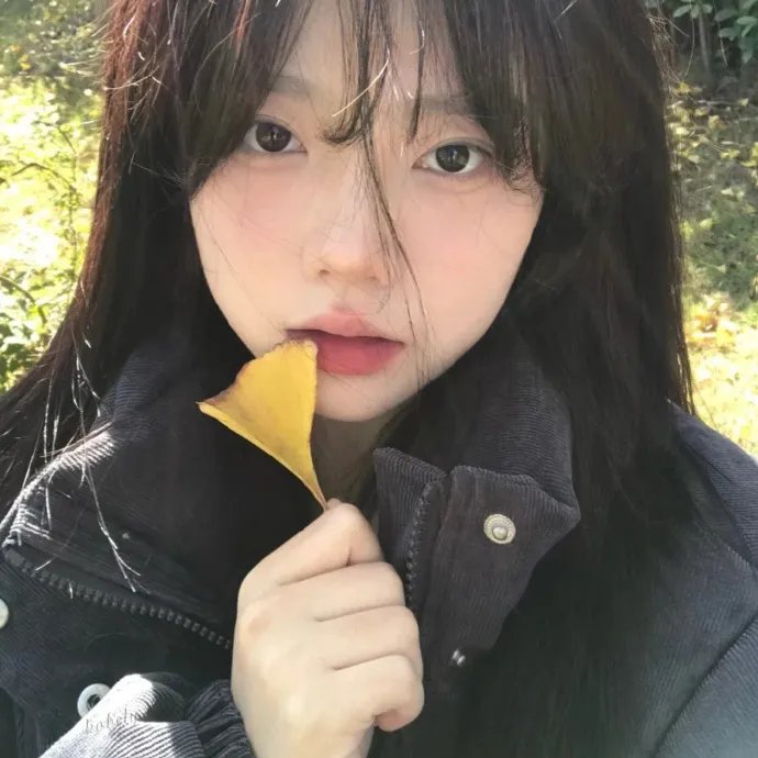 寻找法蒂玛