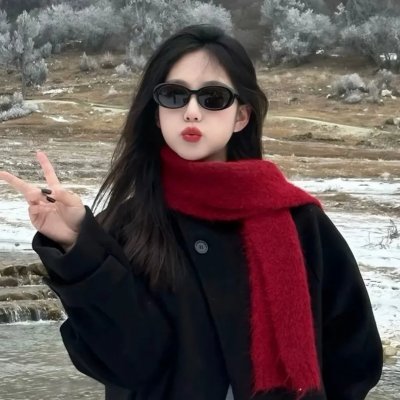 变形金刚:堕落者的复仇